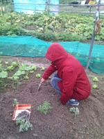 20100215Farm Visit33.jpg